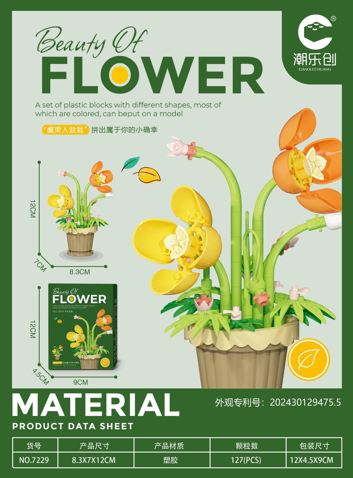 European Corn Poppy - DIY  flower potted plant